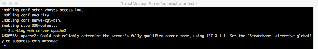 instalacao-squidanalyzer-ubuntu-homelaber_10